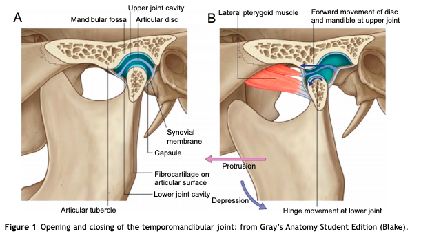 How Does a TENS Unit Help With TMJ (Temporomandibular Joint) Pain?