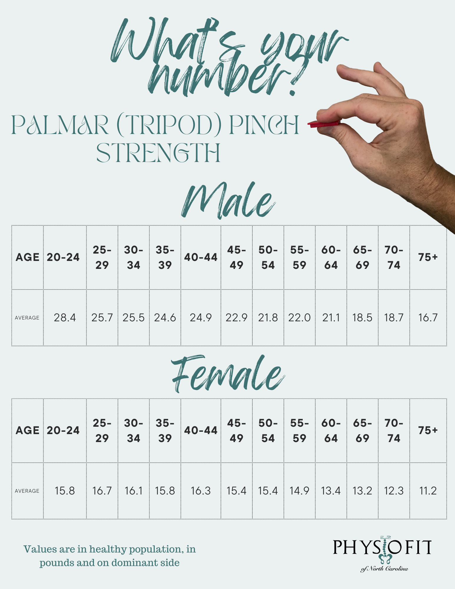 What is normal palmar pinch strength? - PhysioFit of NC