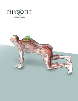 6 Green Zones Thoracic