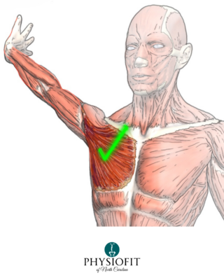 6 Green Zones Arm Wall Stretch